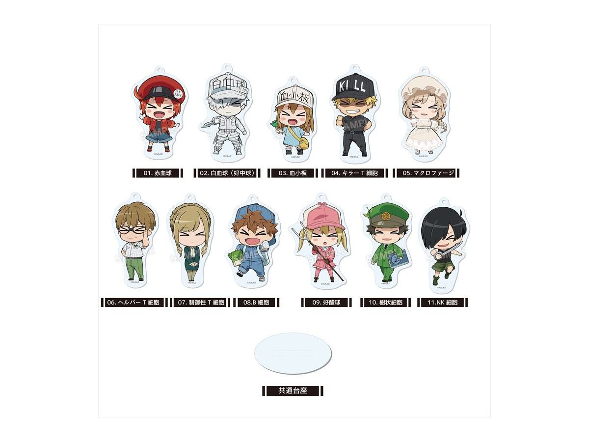 Cells at Work!: Marutto Stand Keychain 01 Vol.1 1Box 11pcs