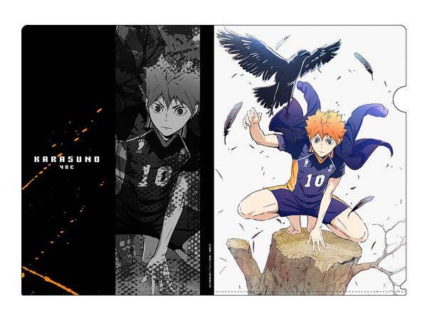 Haikyu!!: Shoyo Hinata Clear File Ver.2.0