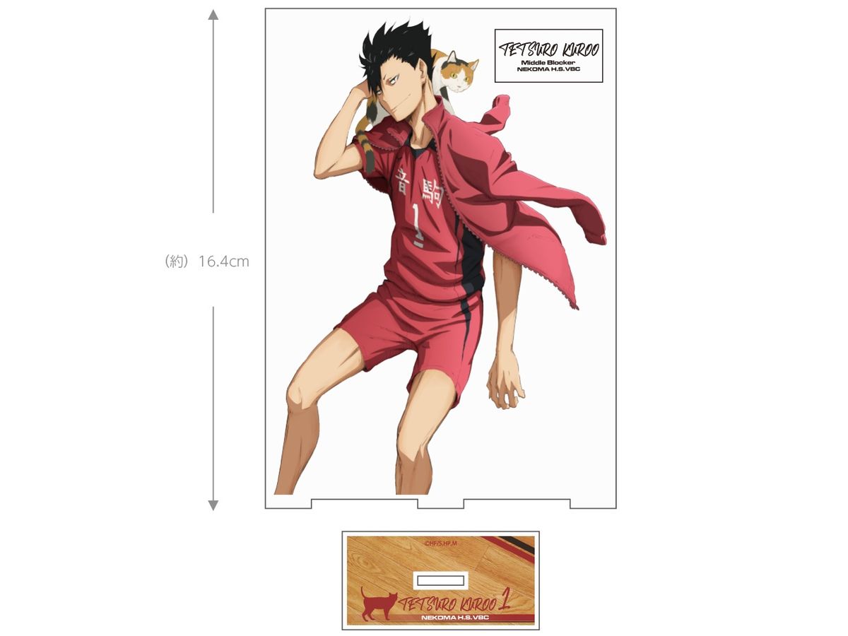 Haikyu!!: Tetsuro Kuroo Acrylic Stand (Large) Ver.1.0
