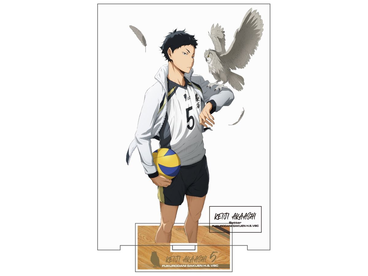 Haikyu!!: Keiji Akaashi Acrylic Stand (Large) Ver.1.0