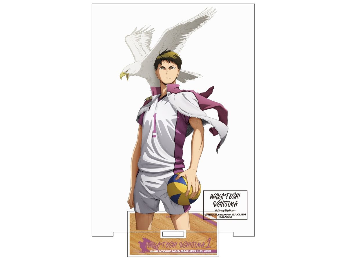 Haikyu!!: Wakatoshi Ushijima Acrylic Stand (Large) Ver.1.0
