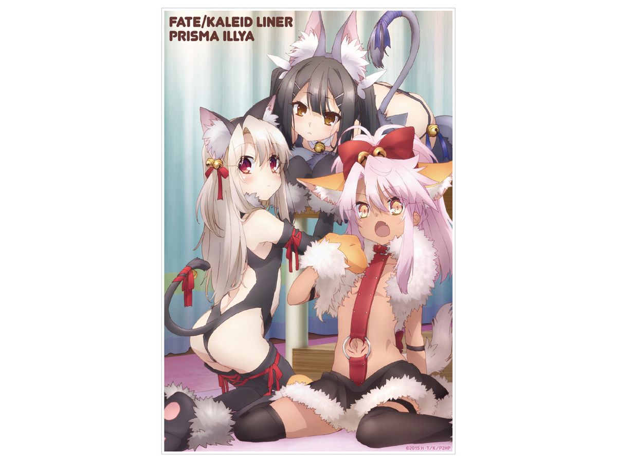Fate / Kaleid Liner Prisma Illya 2Wei Herz!: Kemomimi Illya & Miyu & Chloe Acrylic Art Stand