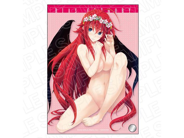 High School DxD: Mini Acrylic Art A