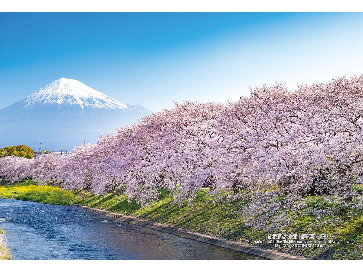 View of Mount Fuji with Sakura cherry blossom at Ryuganbuchi, Fuji City,SHIZUOKA PREF. 300pcs (260 x380mm)