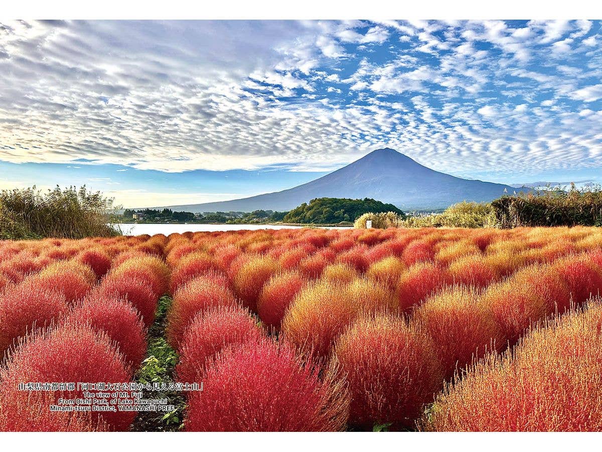 The view of Mt. Fuji From Oishi Park, of Lake Kawaguchi Minami-tsuru District,YAMANASHI PREF.  300pcs (260 x 380mm)