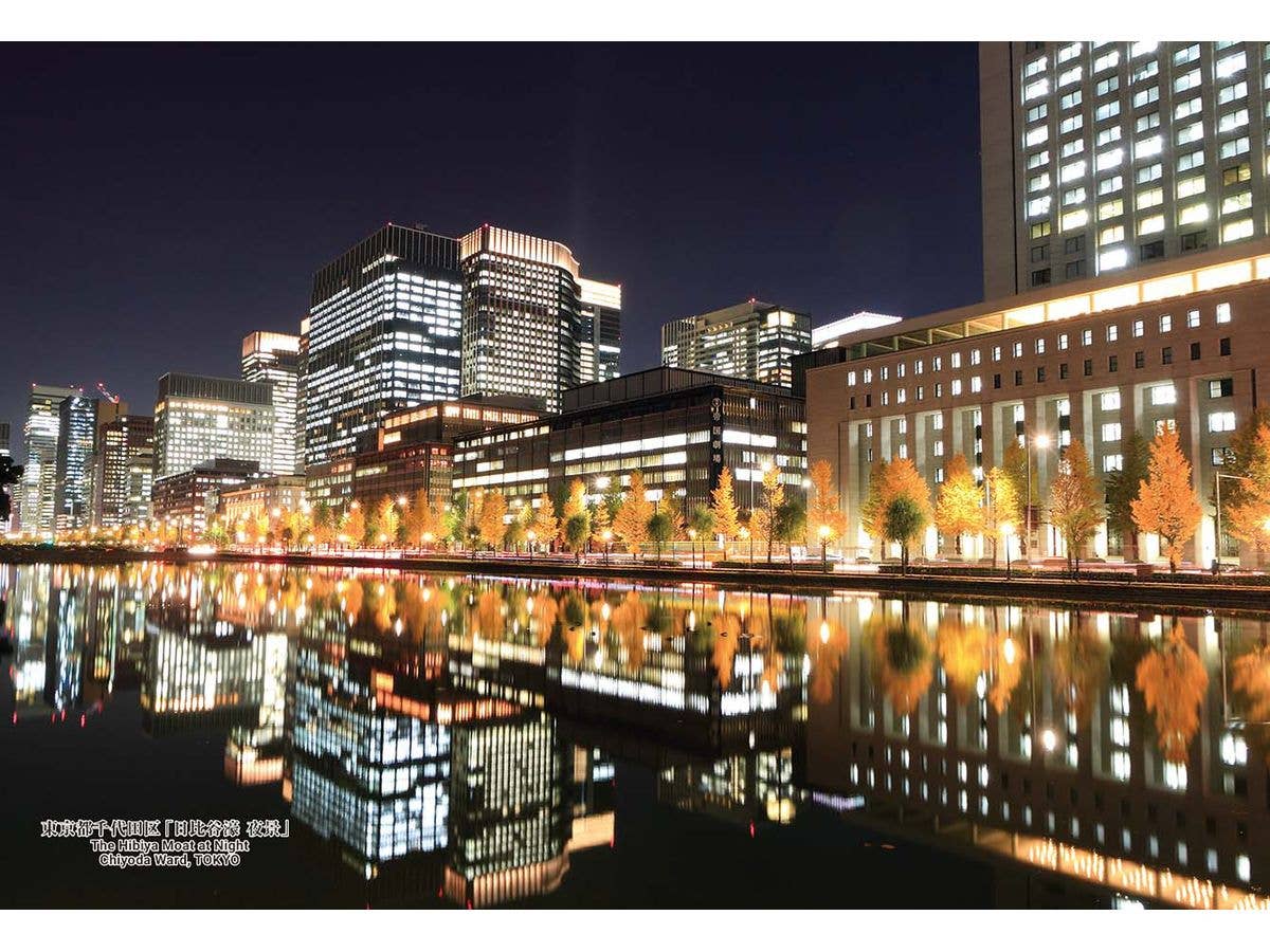 Jigsaw Puzzle: Japanese Cities 125 The Hibiya Moat at Night Chiyoda Ward, TOKYO 300pcs (26cm x 38cm)