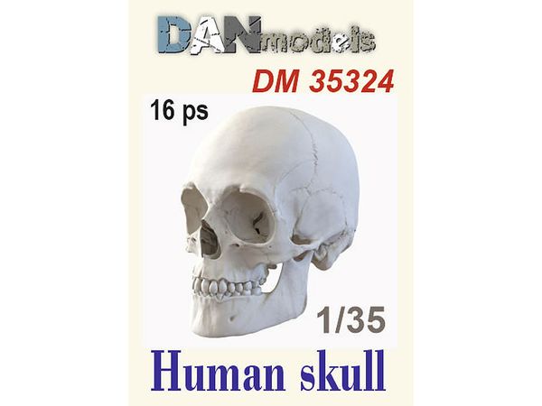 Human skull, 16 pcs