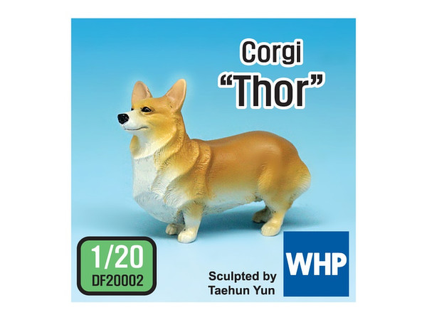 Corgi Thor