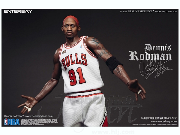 Real Masterpiece NBA Collection: Dennis Rodman RM-1059