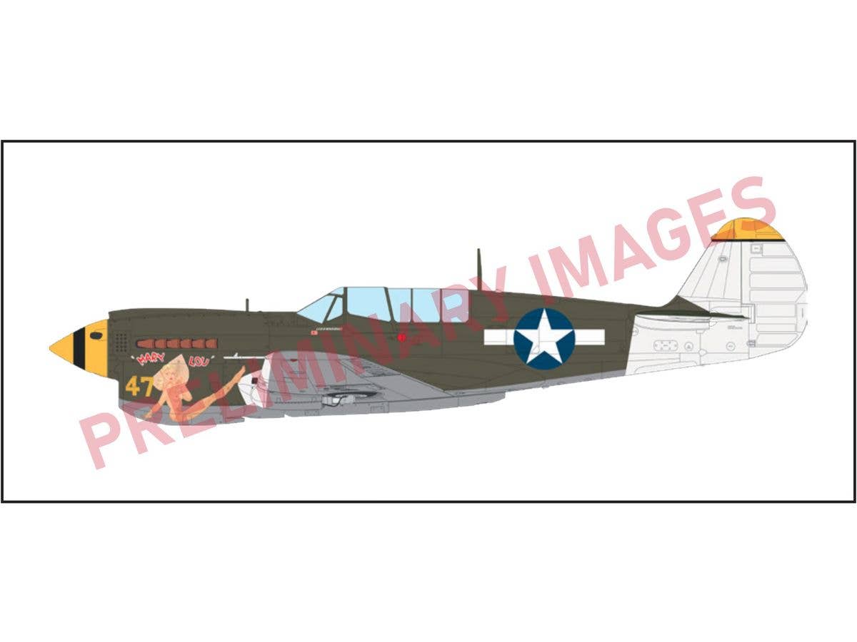 P-40N Warhawk