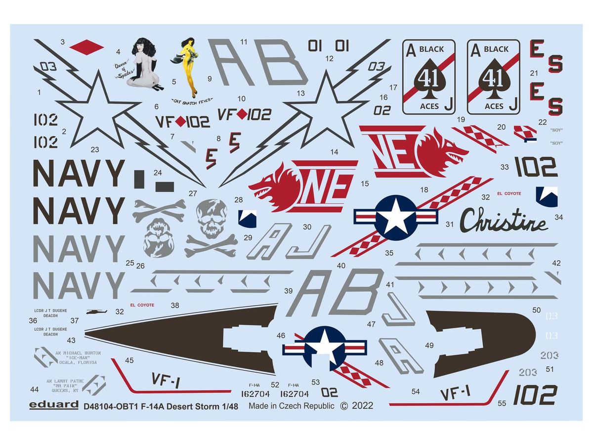 F-14A Desert Storm (for TAMIYA)