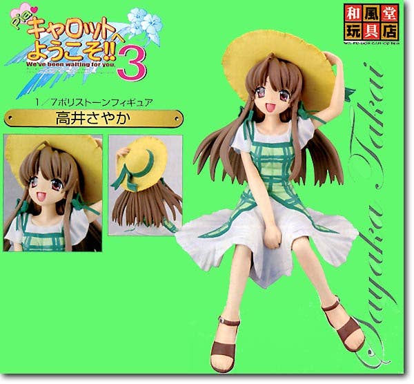 Takai Sayaka Completed | HLJ.com
