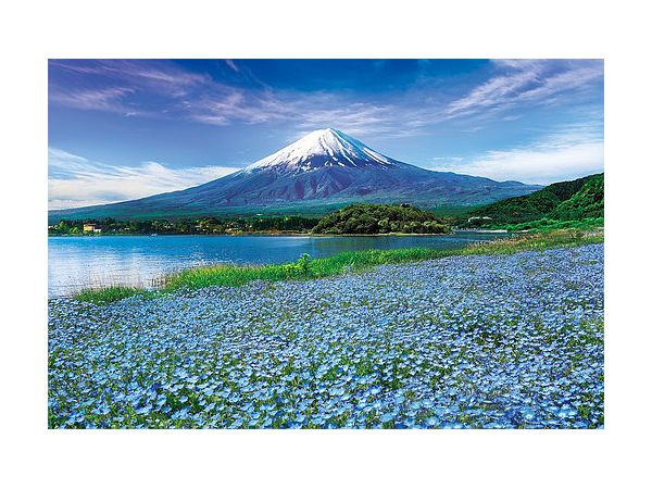 Jigsaw Puzzle: Blooming nemophila Fuji-Yamanashi 1000p (50 x 75cm)