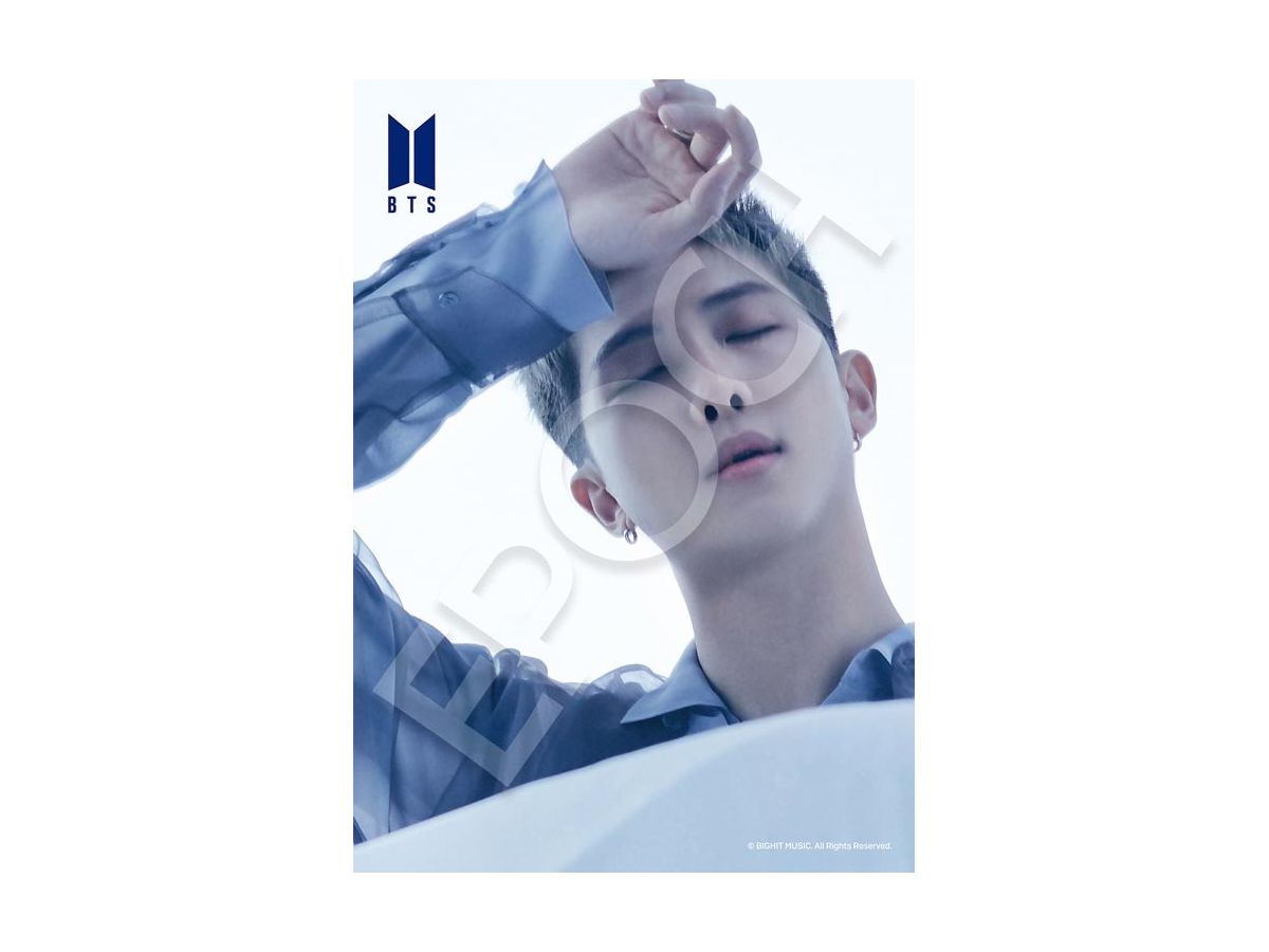 Jigsaw Puzzle: Proof RM 108P (18.2 x 25.7)