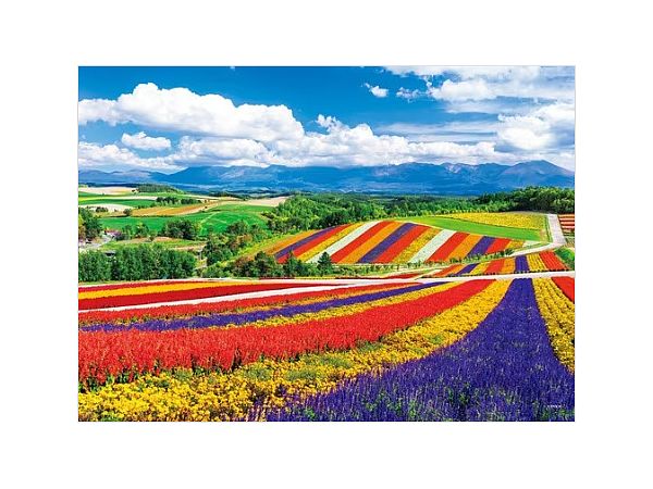 Jigsaw Puzzle: Rainbow Colored Four Seasons Hill -Hokkaido 2000ssp (38 x 53cm)