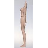 Nymph30 Movable Doll Body (Female) Natural | HLJ.com