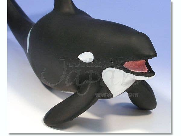 Killer Whale | HLJ.com