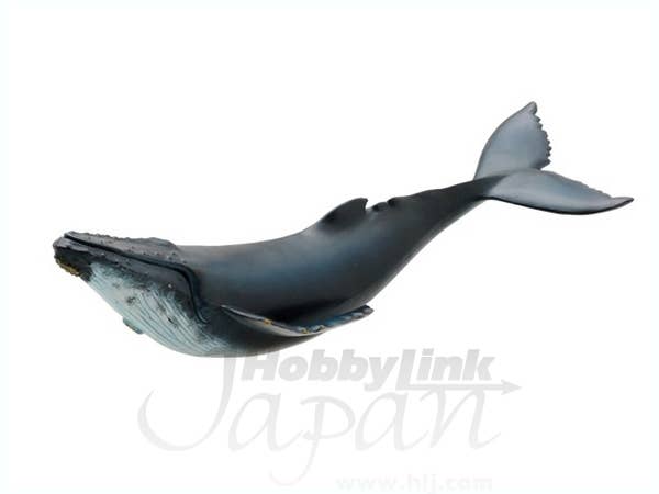 Humpback Whale Soft Model | HLJ.com