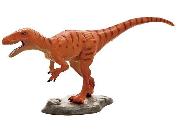 Dinosaur Fukuiraptor Mini Model (FDW-210)