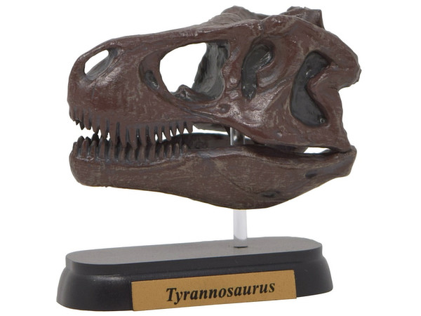 FDW-501 Tyrannosaurus Skull Mini Model