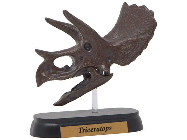 FDW-502 Triceratops Skull Mini Model