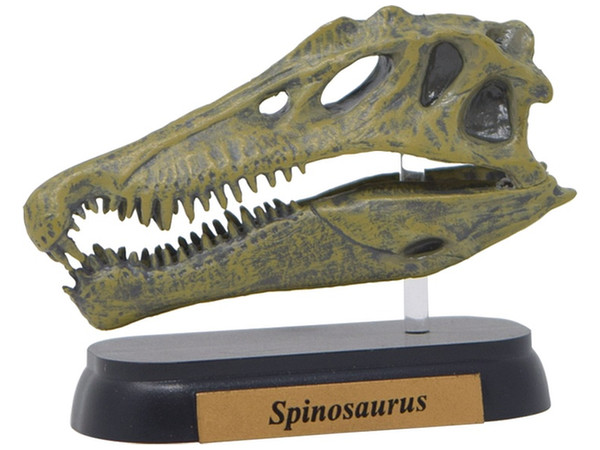 FDW-503 Spinosaurus Skull Mini Model