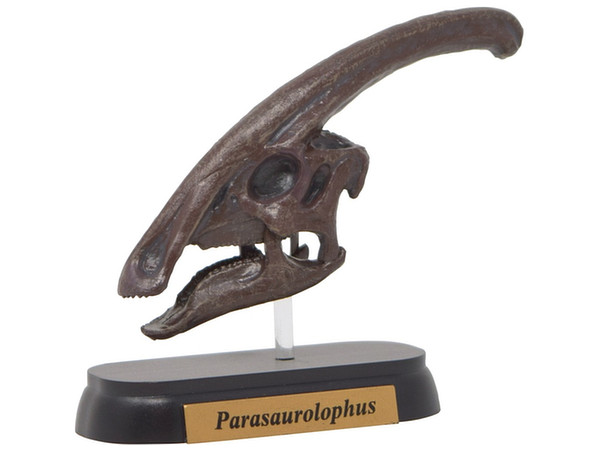 FDW-504 Parasaurolophus Skull Mini Model