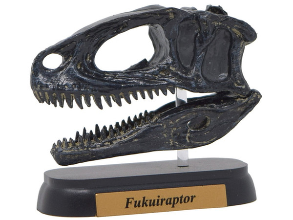 FDW-510 Fukuiraptor Skull Mini Model