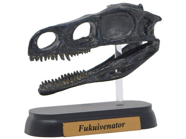 FDW-512 Fukuivenator Skull Mini Model