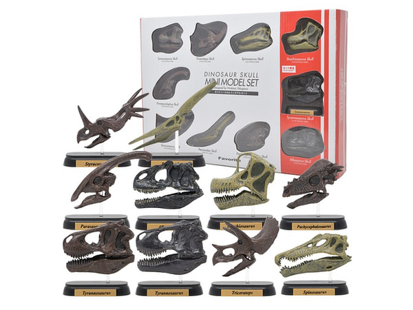 FDW-570 Dinosaur Skull Mini Model Set