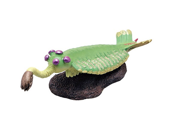 Cambrian Creatures Mini Model Burgess Series: Opabinia