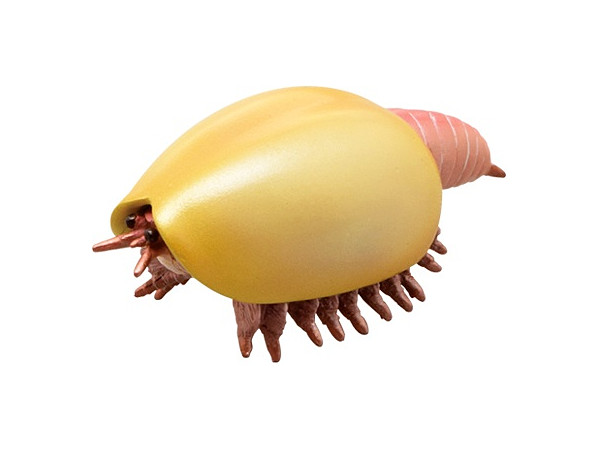 Cambrian Creatures Mini Model Burgess Series: Canadaspis