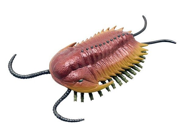 Cambrian Creatures Mini Model Burgess Series: Olenoides