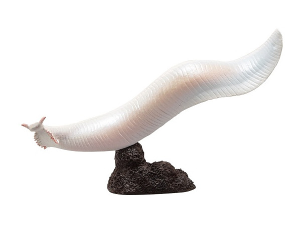 Cambrian Creatures Mini Model Burgess Series: Pikaia