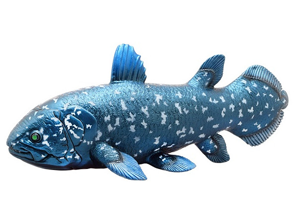 Ancient Fish: Coelacanth Vinyl Model