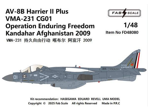 AV-8B+ VMA-231 Afghanistan 2009