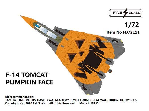 F-14 TOMCAT PUMPKIN FACE