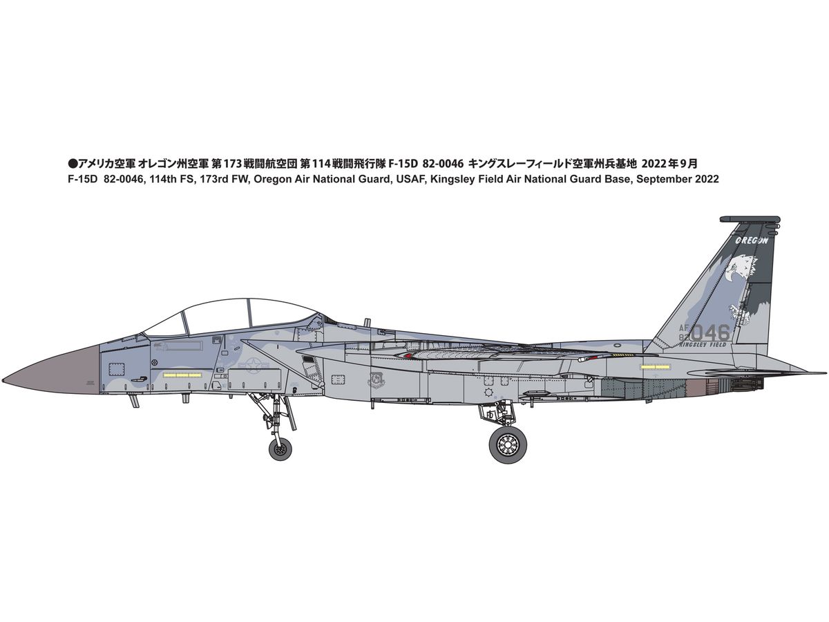 United States Air Force F-15D Fighter