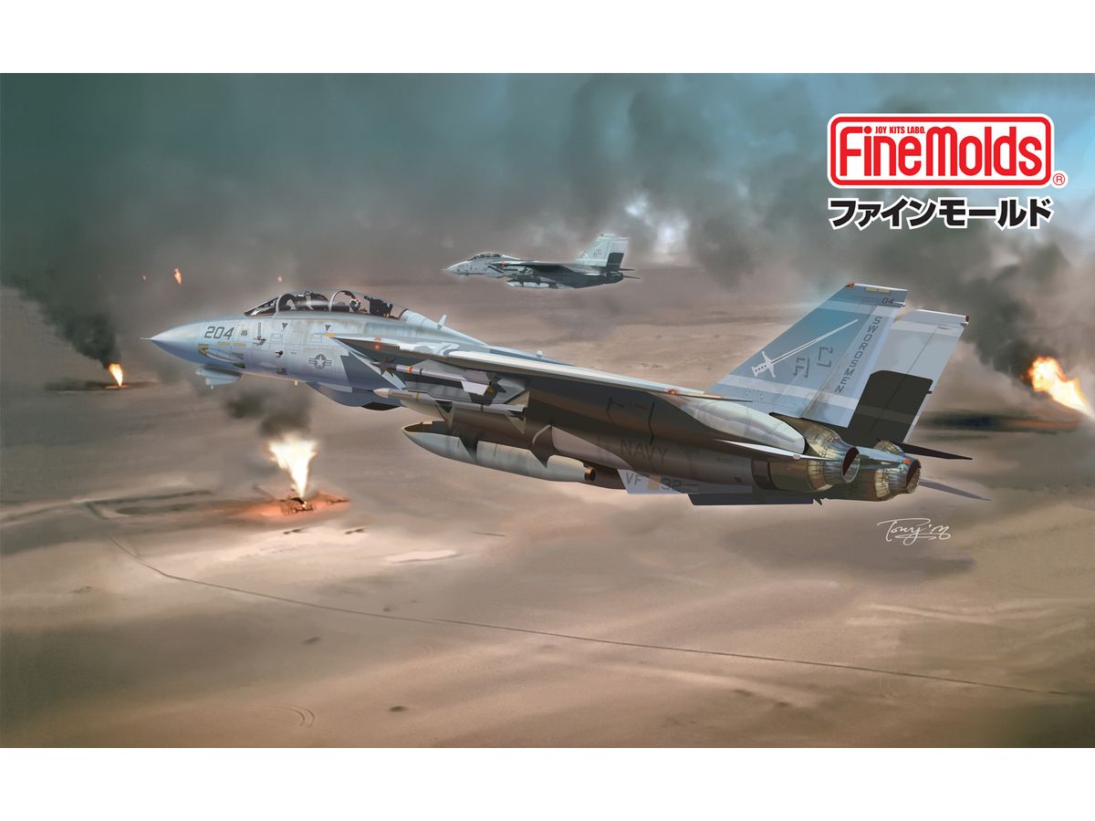 US Navy F-14A Tomcat Gulf War