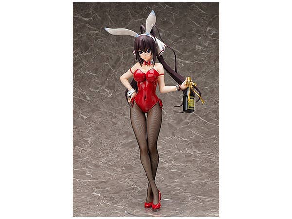 IS -Infinite Stratos- Houki Shinonono: Bunny Ver.