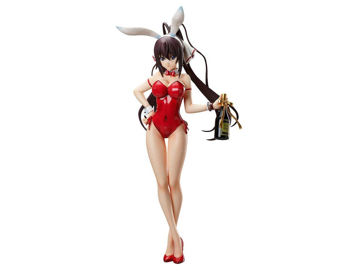 IS Infinite Stratos Houki Shinonono: Bare Leg Bunny Ver. Figure
