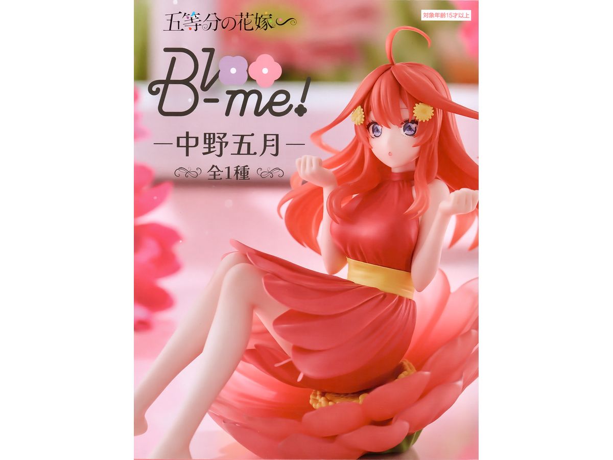 The Quintessential Quintuplets Bloo-me! Itsuki Nakano