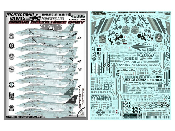 Tomcats At War Pt3 F-14B/D Bravo Delta Hazegray