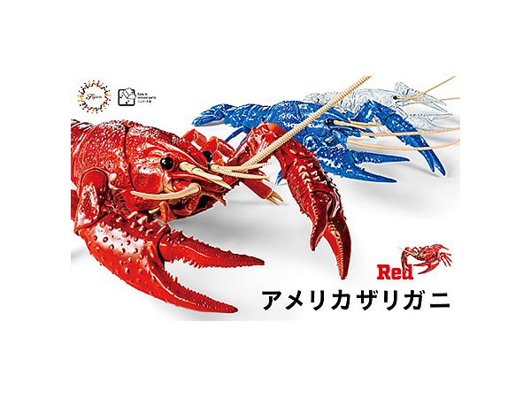 Creature Arc Procambarus Clarkii / Louisiana Crawfish (Red)