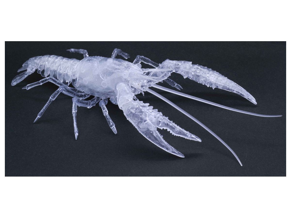 Living Thing Arc Procambarus Clarkii / Louisiana Crawfish (Clear)