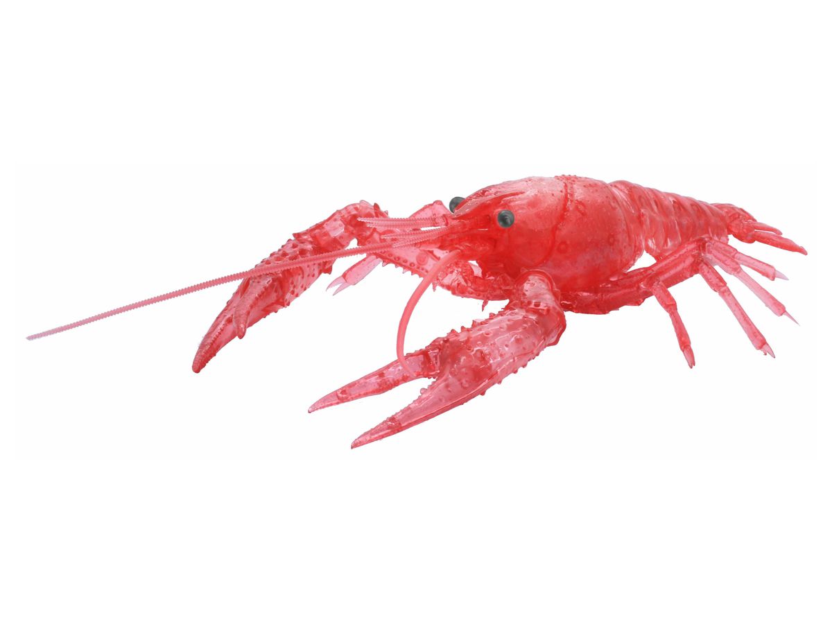 Living Thing Arc Procambarus Clarkii / Louisiana Crawfish (Clear Red)