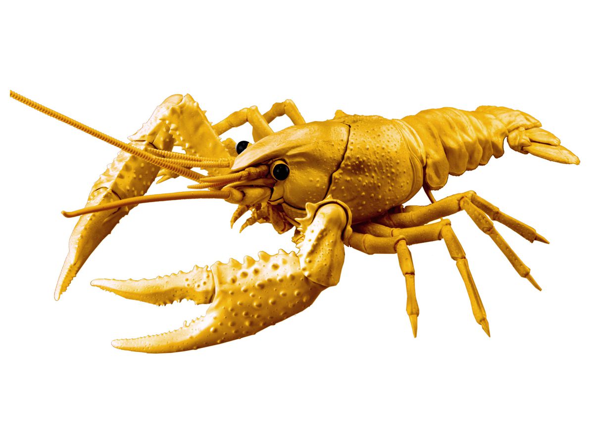Creature Arc Procambarus Clarkii / Louisiana Crawfish Special Edition (Gold)