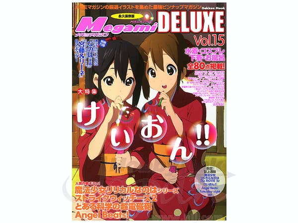Megami Magazine DX Vol. 15 | HLJ.com