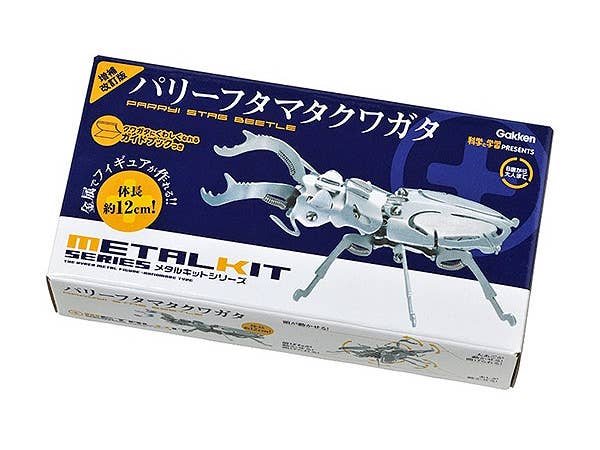 Metal Kit Parryi Stag Beetle (Enlarged Edition)