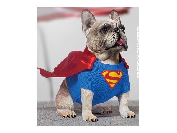 Cosplay Dog Collection Figure Series Superman